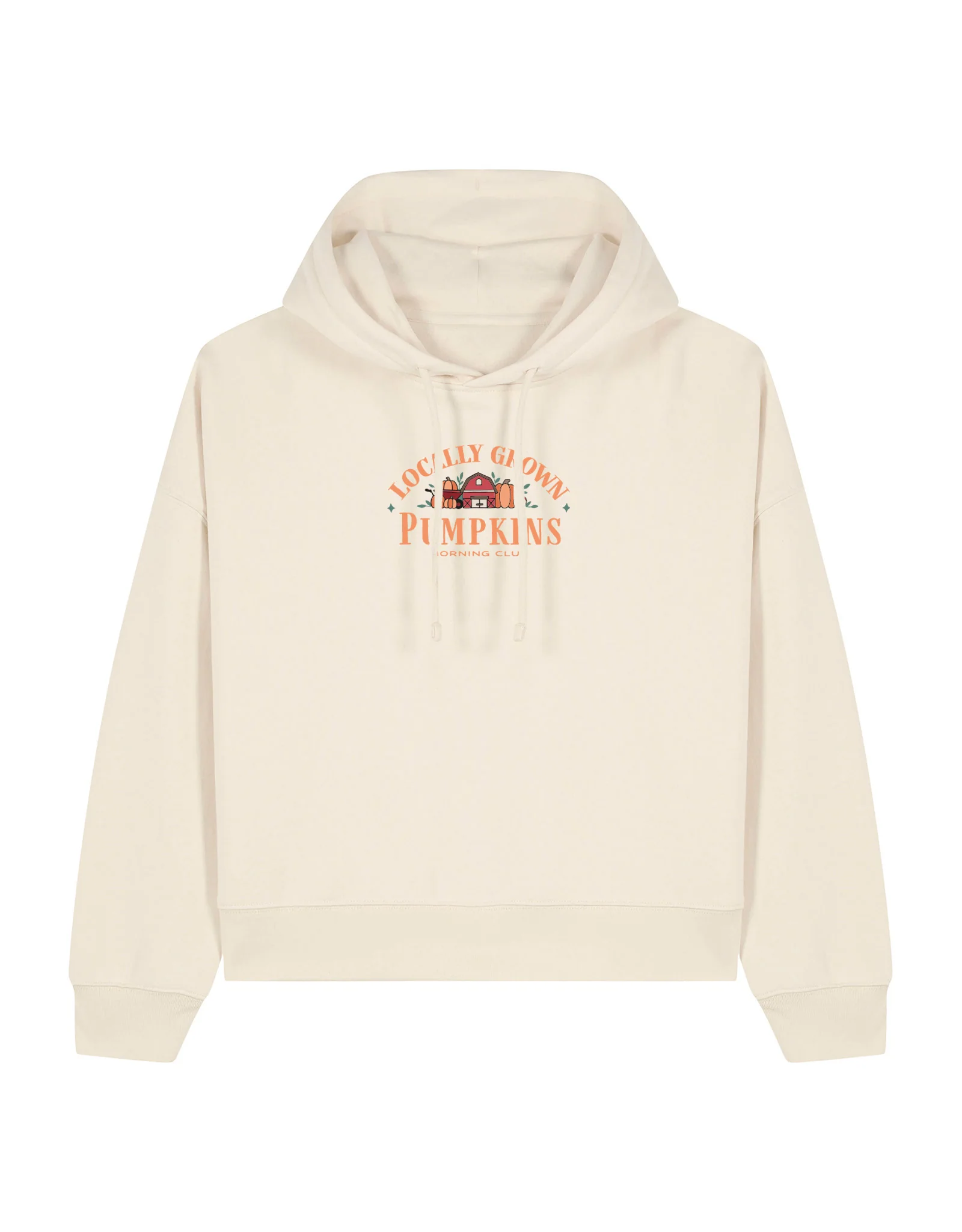 Pumpkins Embroidered Boxy Organic Cotton Hoodie - Image 5