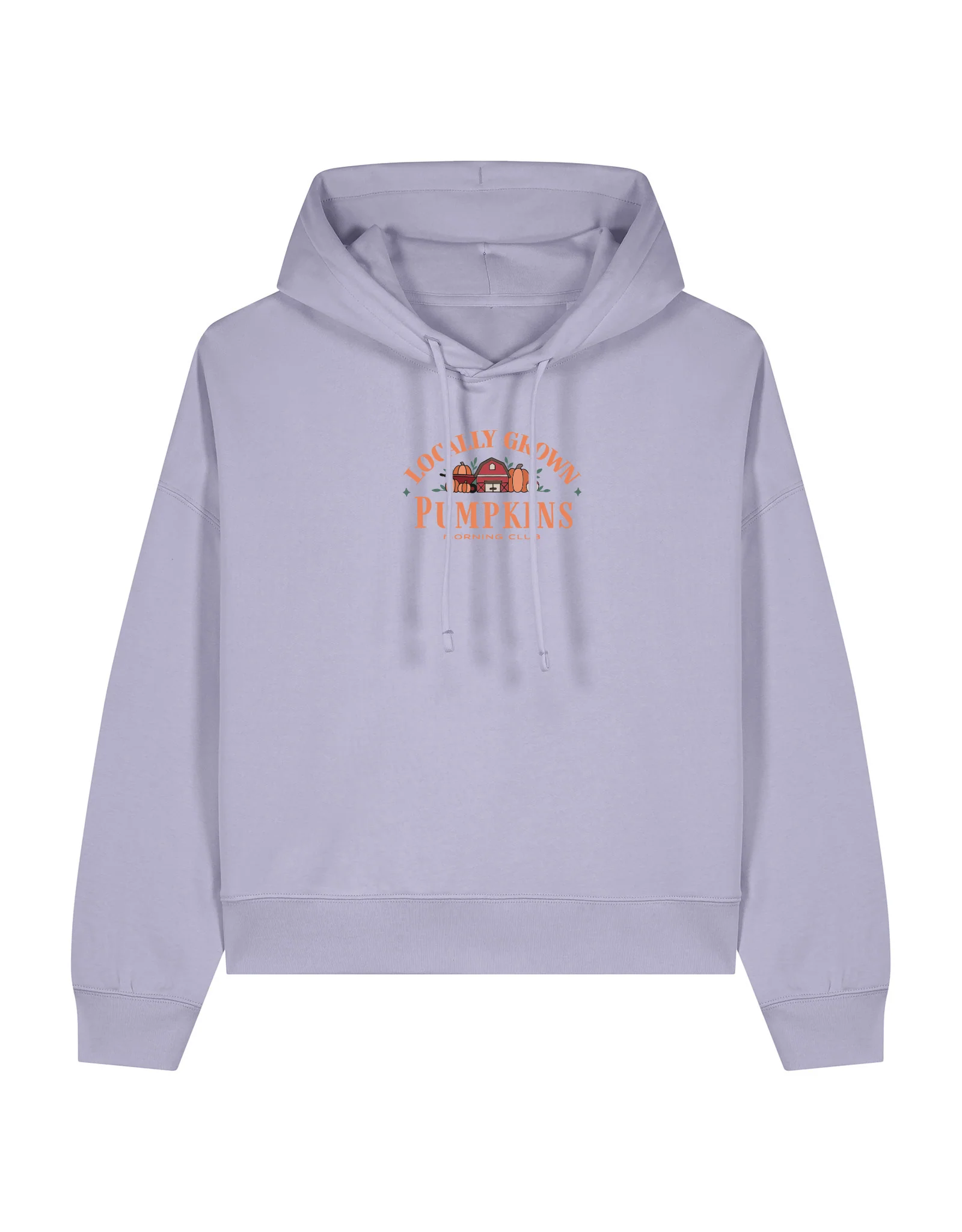 Pumpkins Embroidered Boxy Organic Cotton Hoodie - Image 7