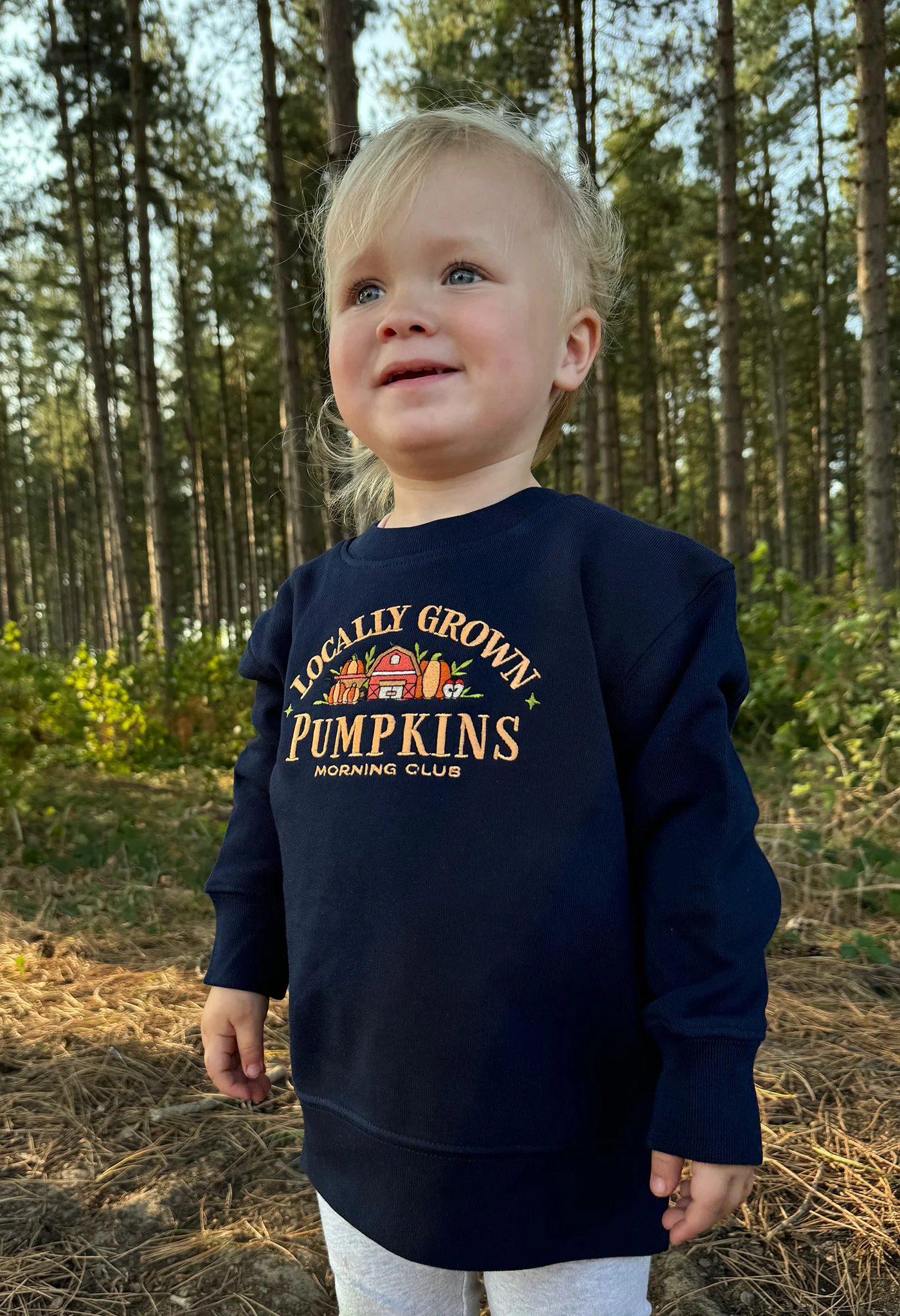 Pumpkins Embroidered Organic Cotton Childrens Sweatshirt - Image 3