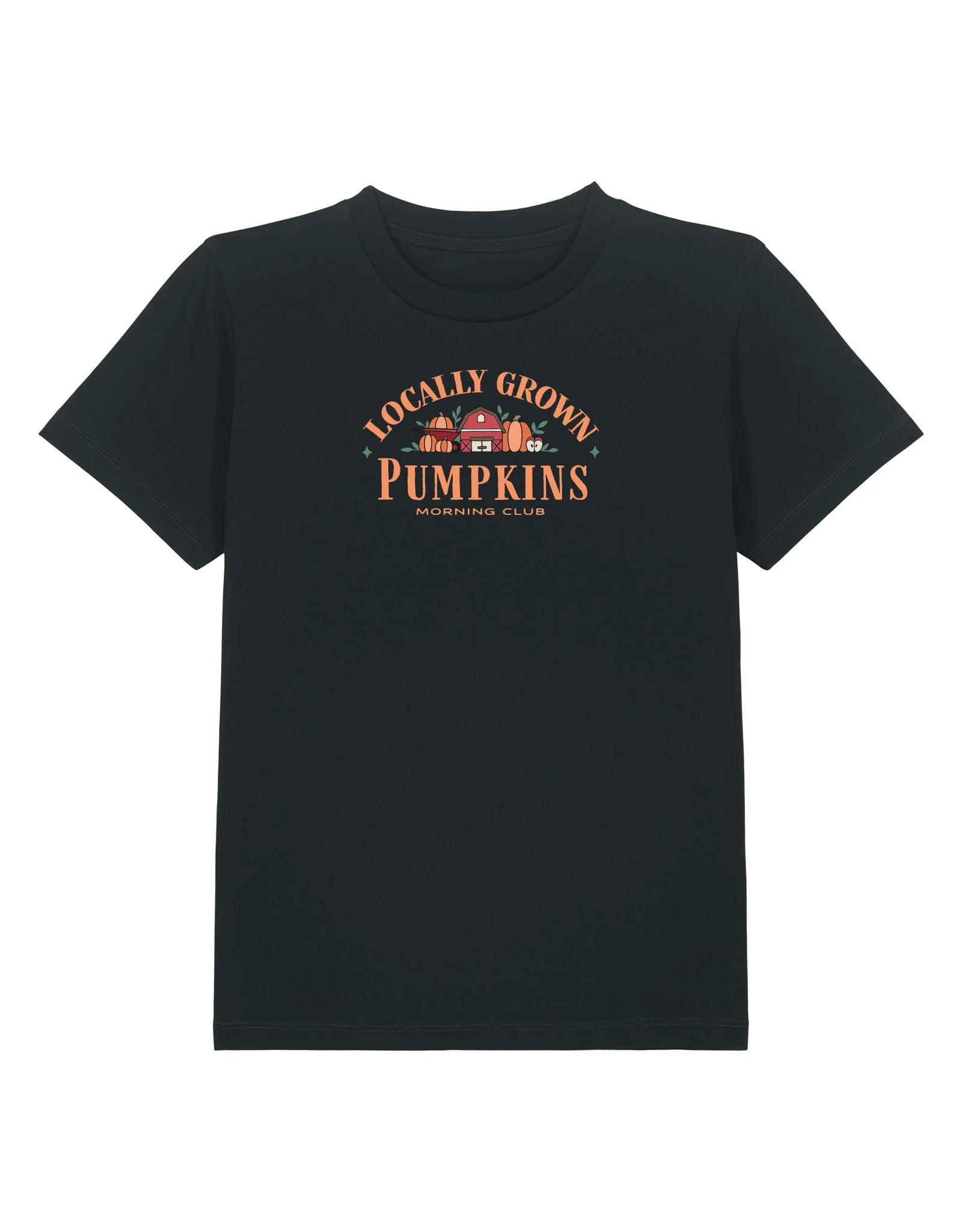 Pumpkins Embroidered Organic Cotton Childrens T-Shirt - Image 4