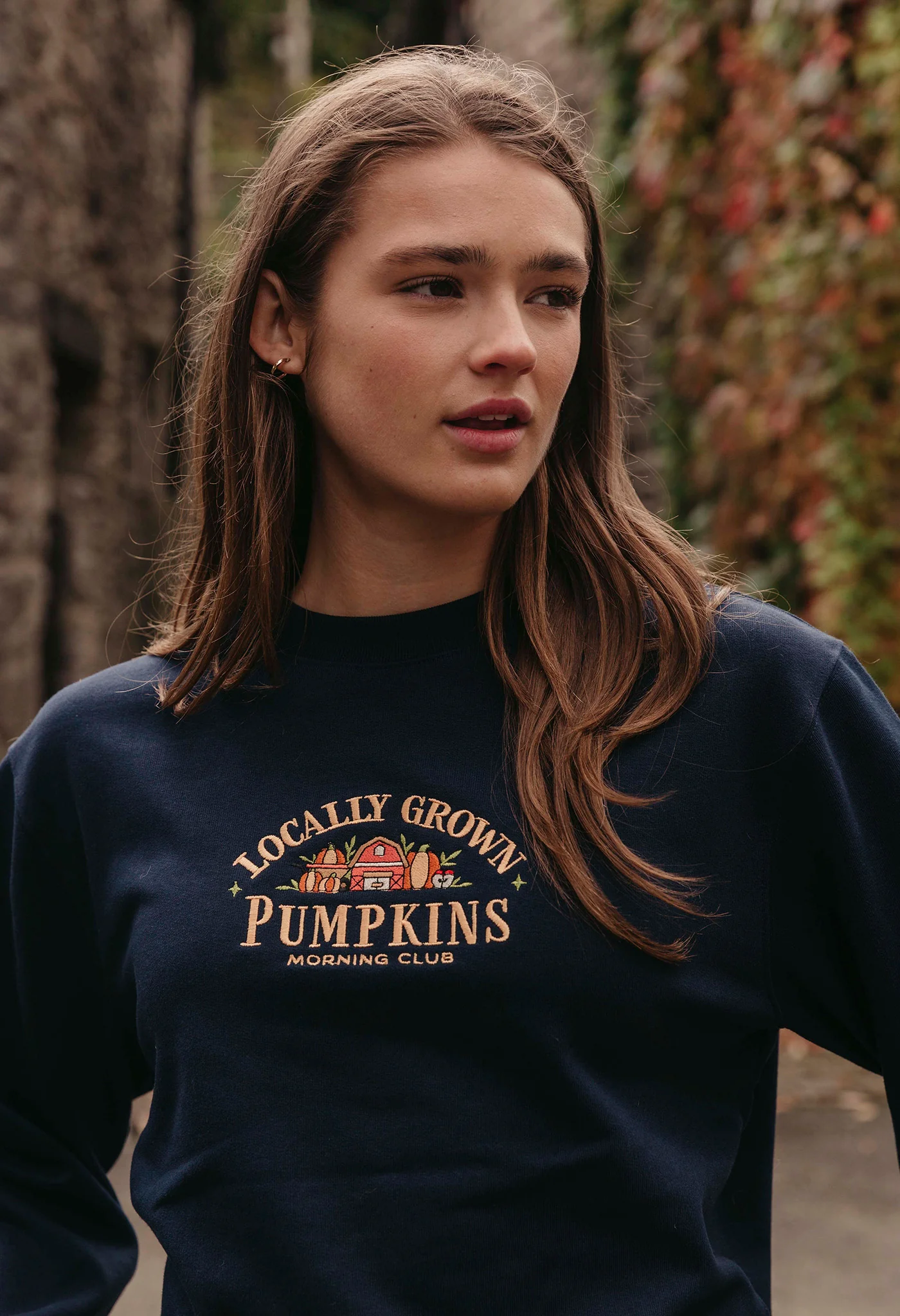Pumpkins Embroidered Organic Cotton Sweatshirt - Image 4