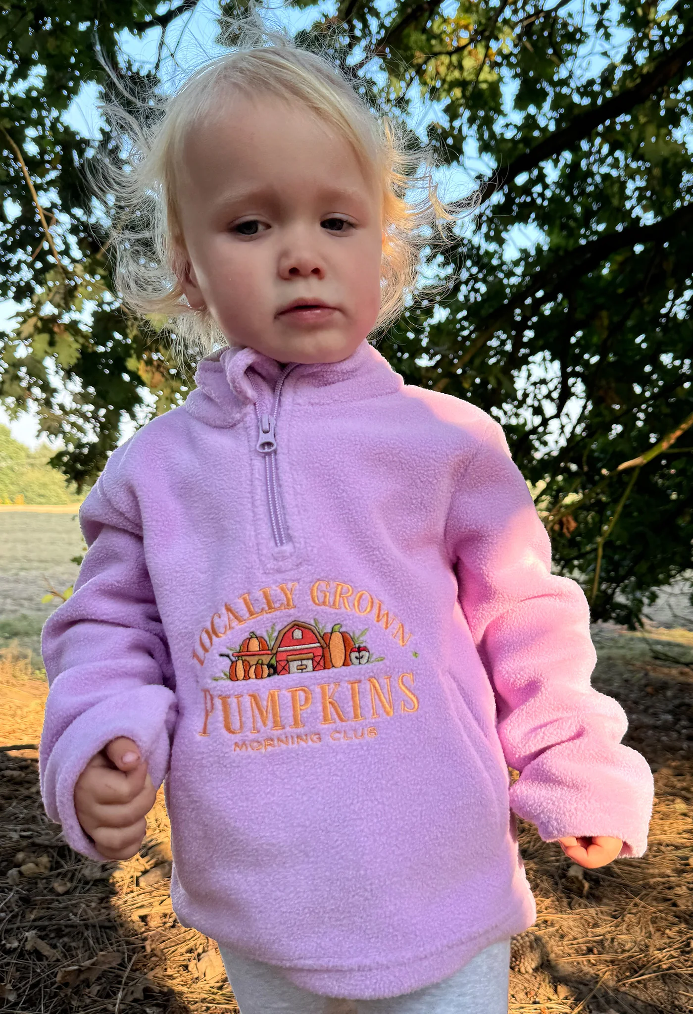 Pumpkins Recycled Polyester Quarter Zip Childrens Fleece - Image 3