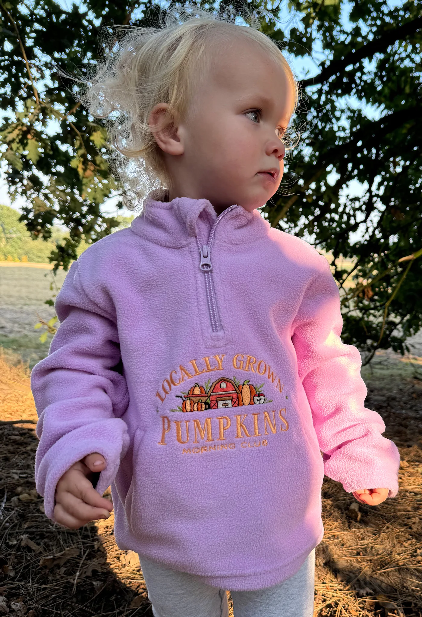 Pumpkins Recycled Polyester Quarter Zip Childrens Fleece - Image 4